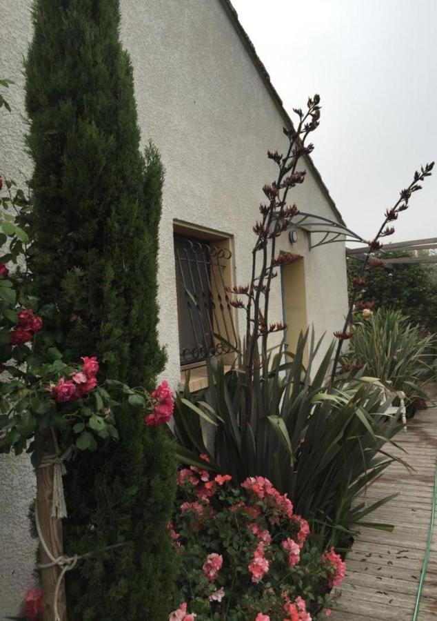 La Villa Vaihere En Camargue, L'Hibiscus Et Le Magnolia Saintes-Maries-de-la-Mer Eksteriør bilde