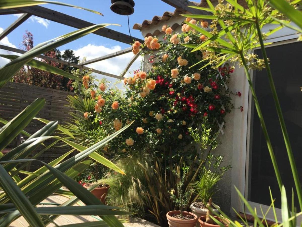 La Villa Vaihere En Camargue, L'Hibiscus Et Le Magnolia Saintes-Maries-de-la-Mer Eksteriør bilde